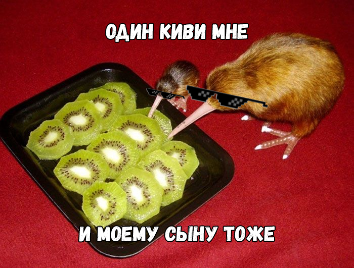 Как разблокировать кошелёк Qiwi_ (2021)_0.png